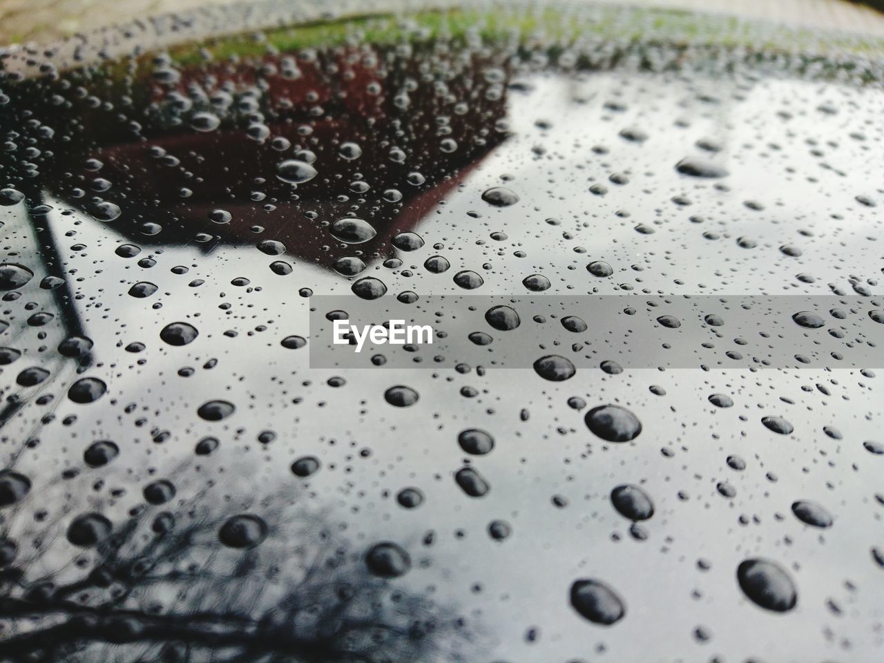 High angle view of water drops on car hood