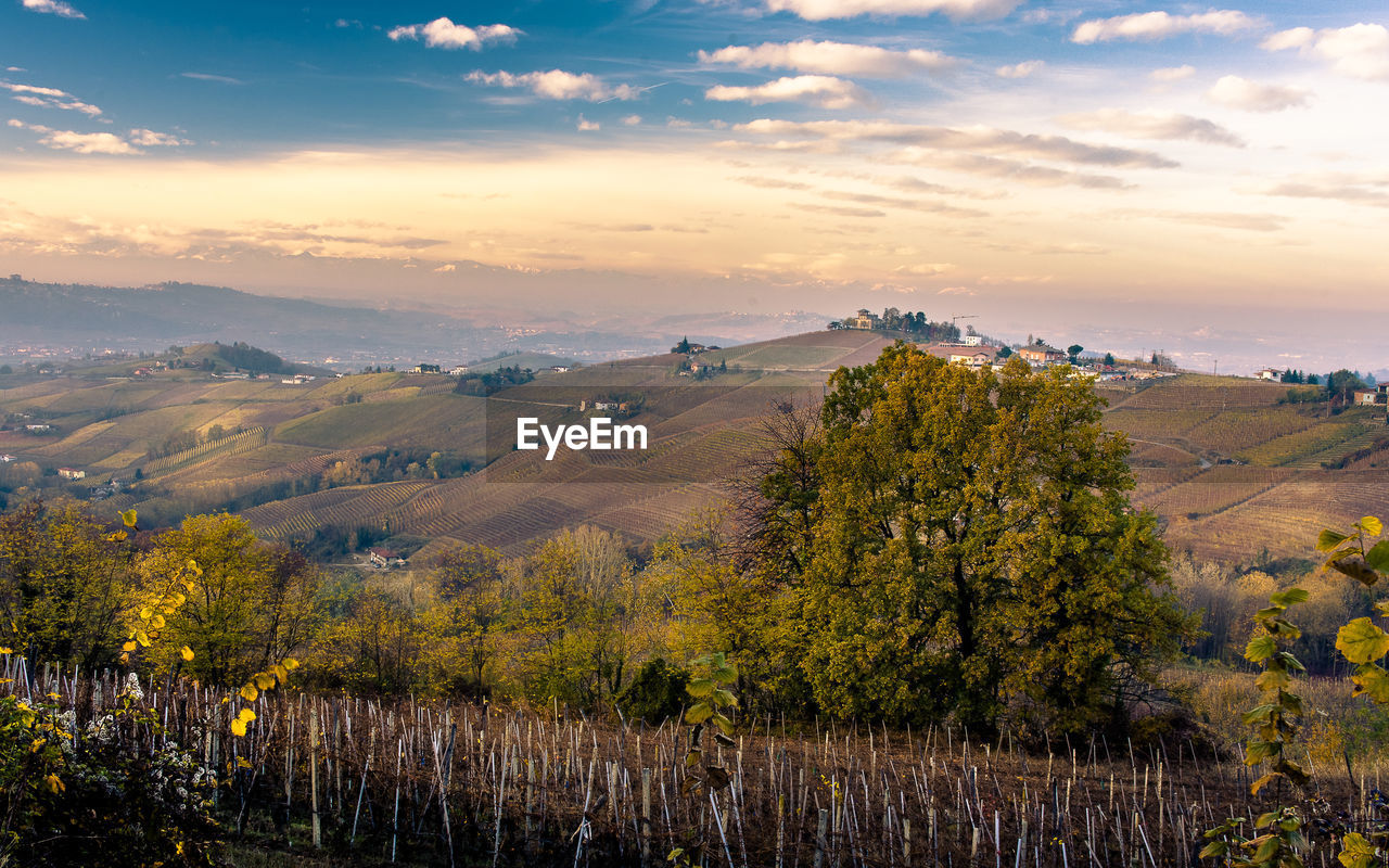 Scenic view of landscape against sky at sunset