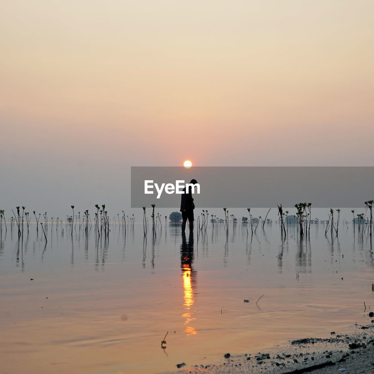 Man standing on beach against sky during sunset