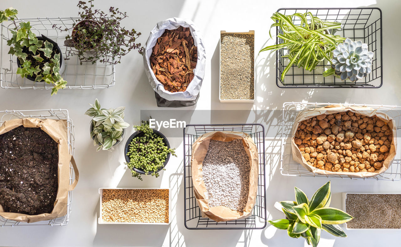 food and drink, food, herb, plant, variation, houseplant, spice, nature, freshness, ingredient, produce, healthy eating, indoors, rosemary, potted plant, no people, leaf, high angle view, wellbeing, vegetable, plant part, flowerpot, soil, thyme, growth, studio shot, directly above, container, parsley