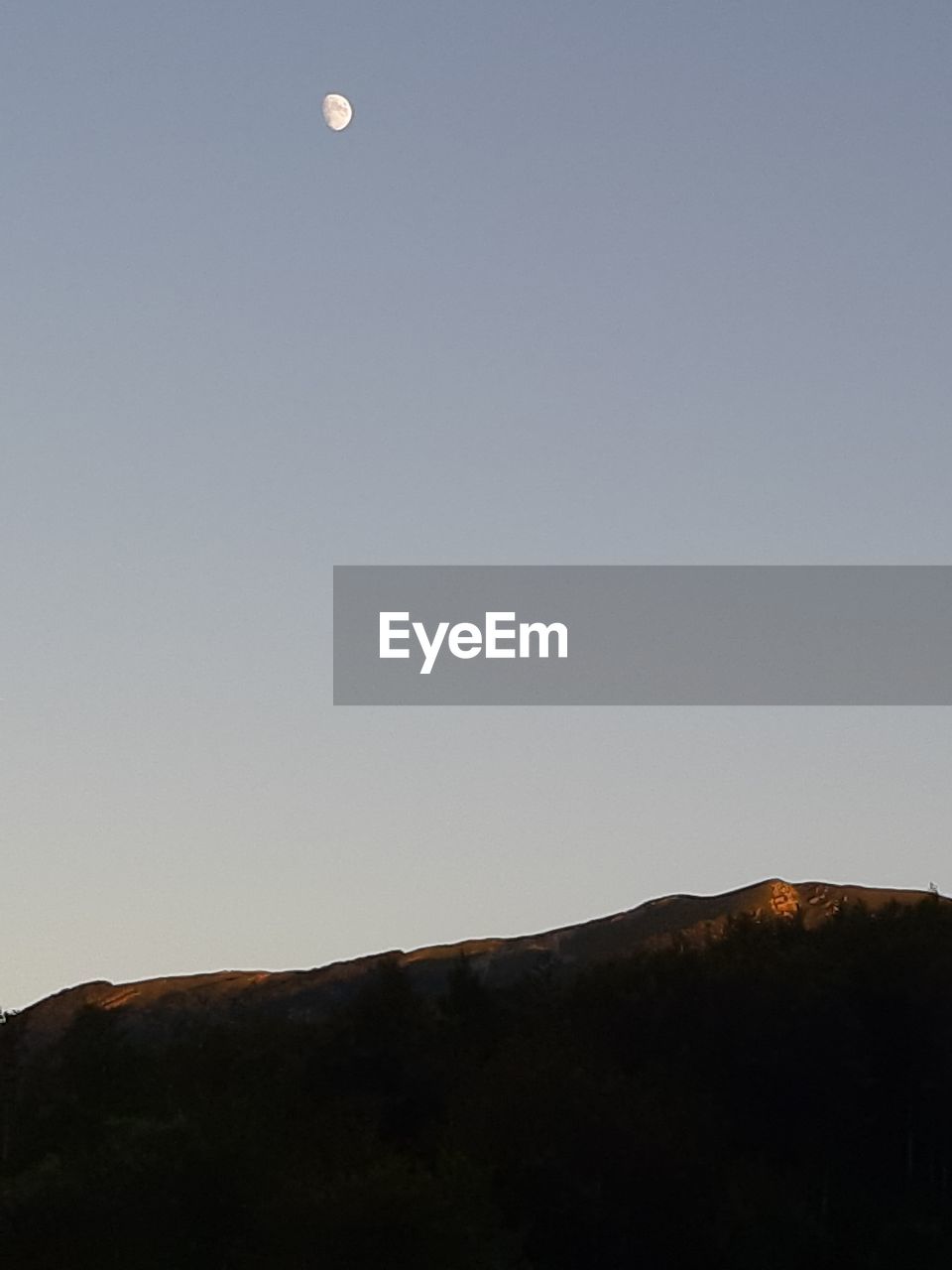 LOW ANGLE VIEW OF MOON ON SILHOUETTE LAND AGAINST SKY