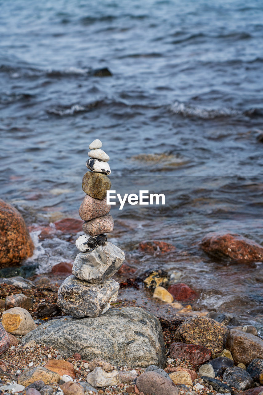 water, sea, rock, shore, coast, no people, nature, day, beach, ocean, land, tranquility, stone, beauty in nature, outdoors, wildlife, animal wildlife, body of water, animal, animal themes, reflection, focus on foreground