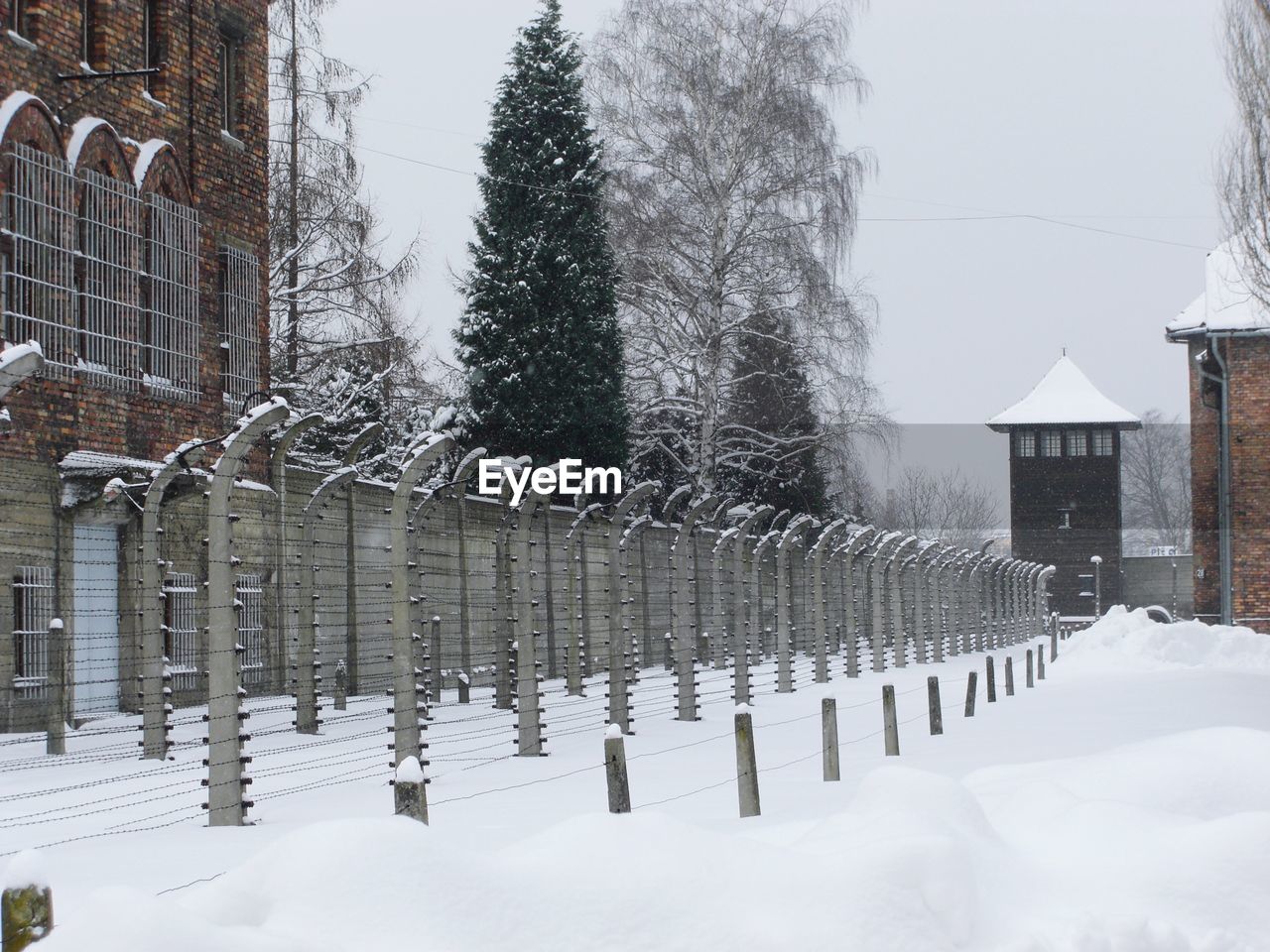 Fences within auschwitz in the snow