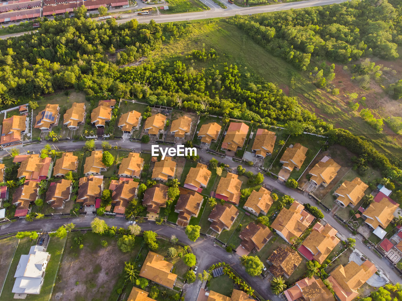 High angle view of trees and houses in field