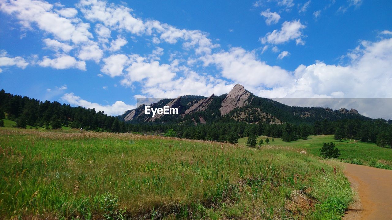 Scenic view of landscape against sky