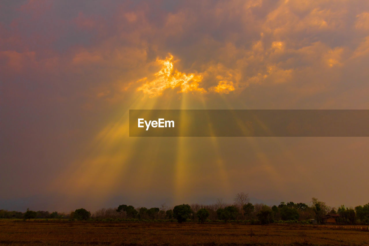 Scenic view of field against sky during sunset