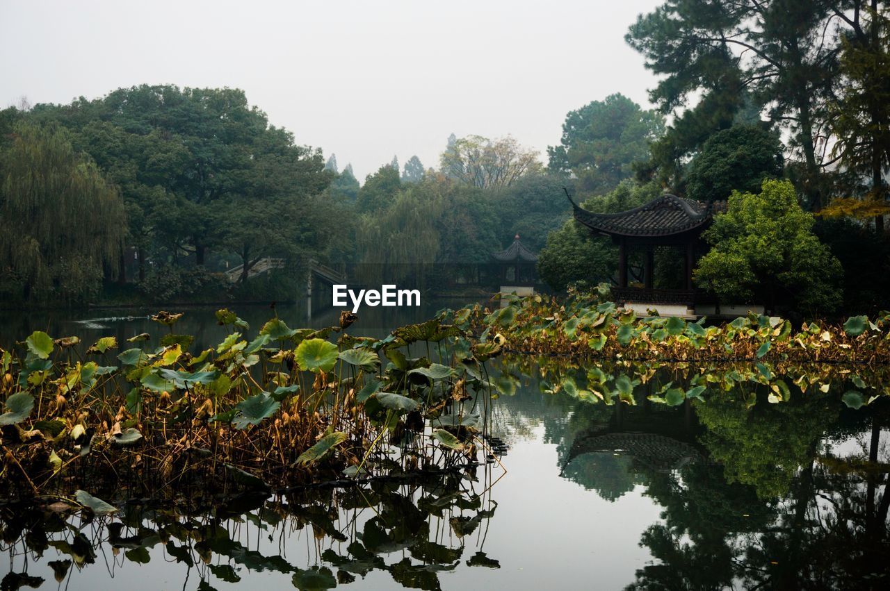 View of calm lake