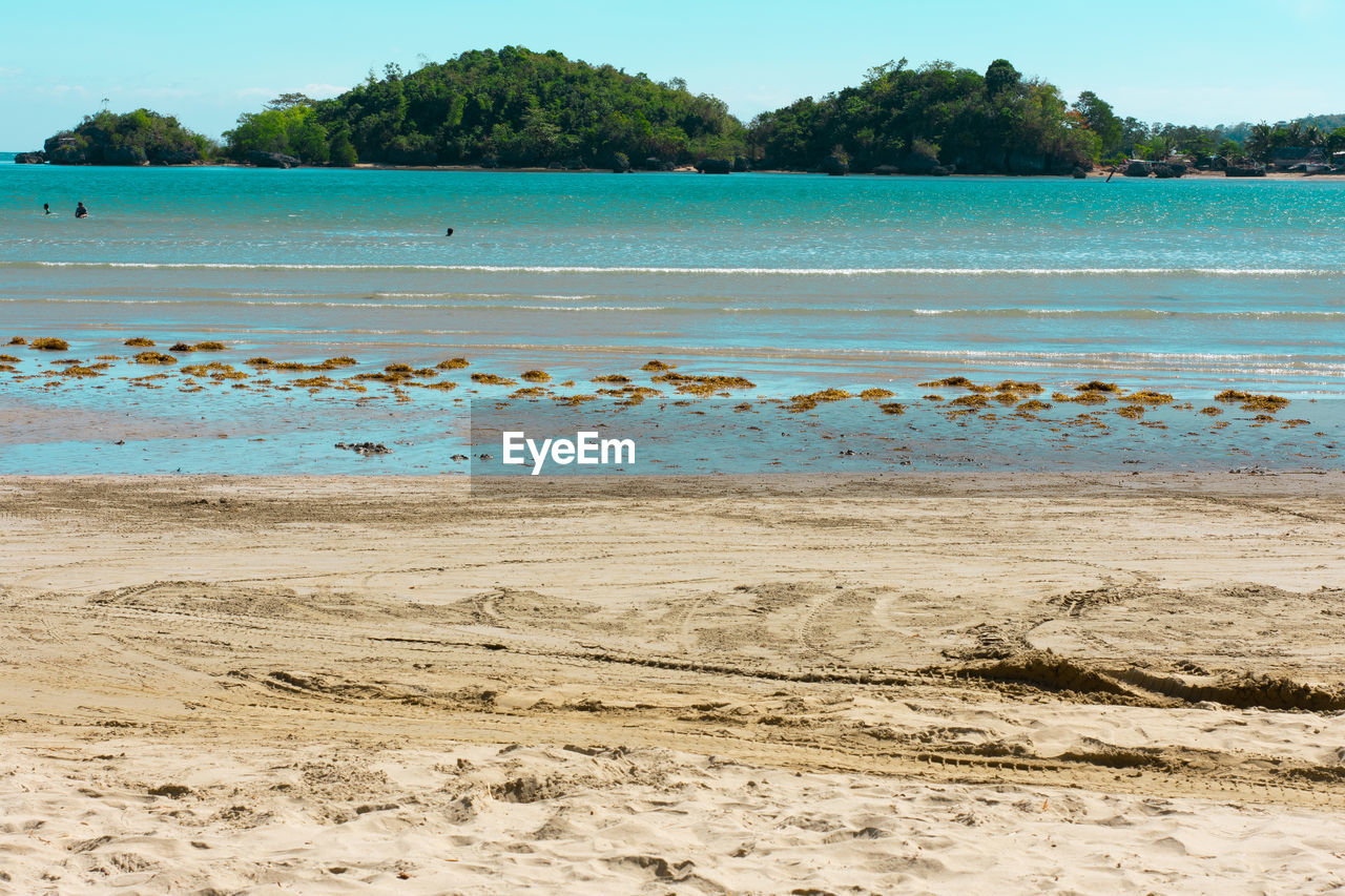 SCENIC VIEW OF BEACH