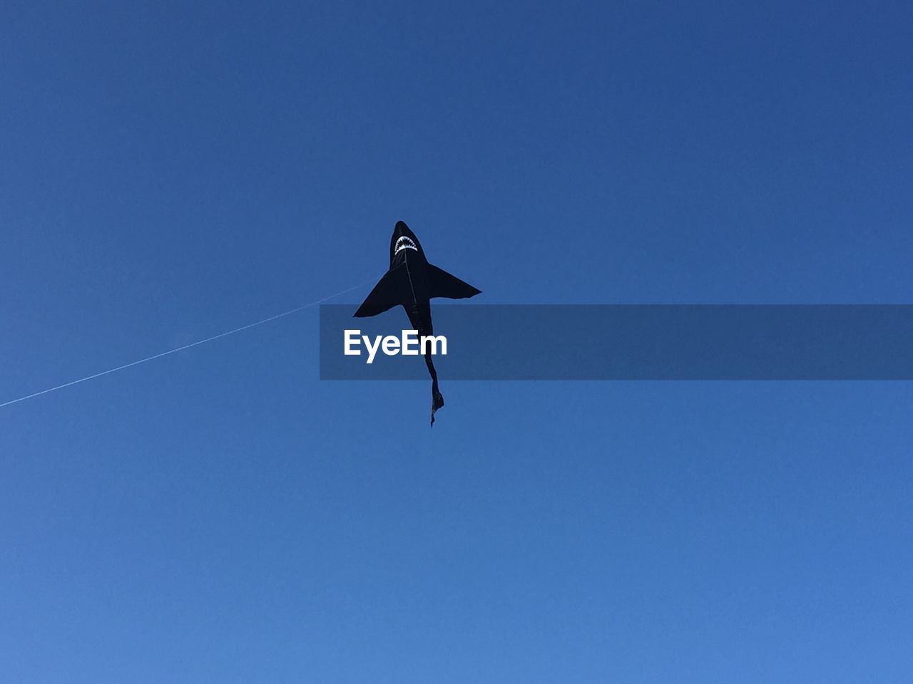 LOW ANGLE VIEW OF BIRD FLYING AGAINST BLUE SKY