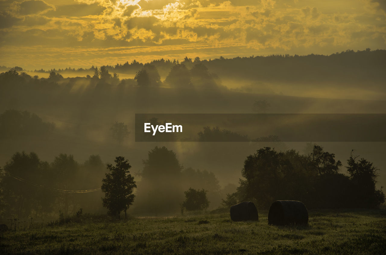 Scenic view of rural landscape at sunset