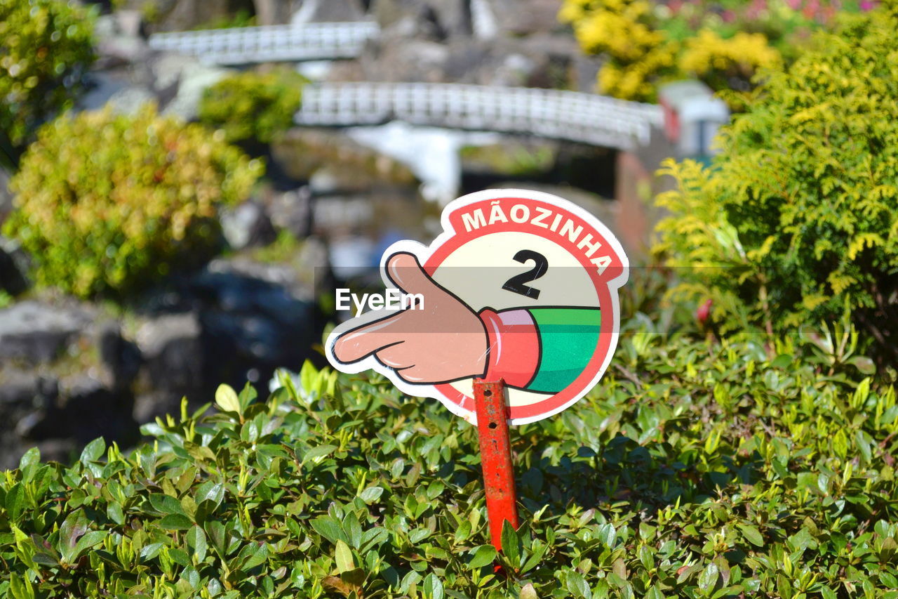 Information sign amidst plants at park