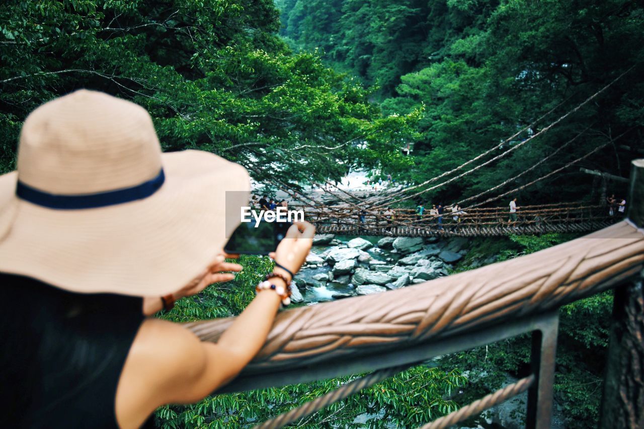 Rear view of woman photographing kazura bridge in forest