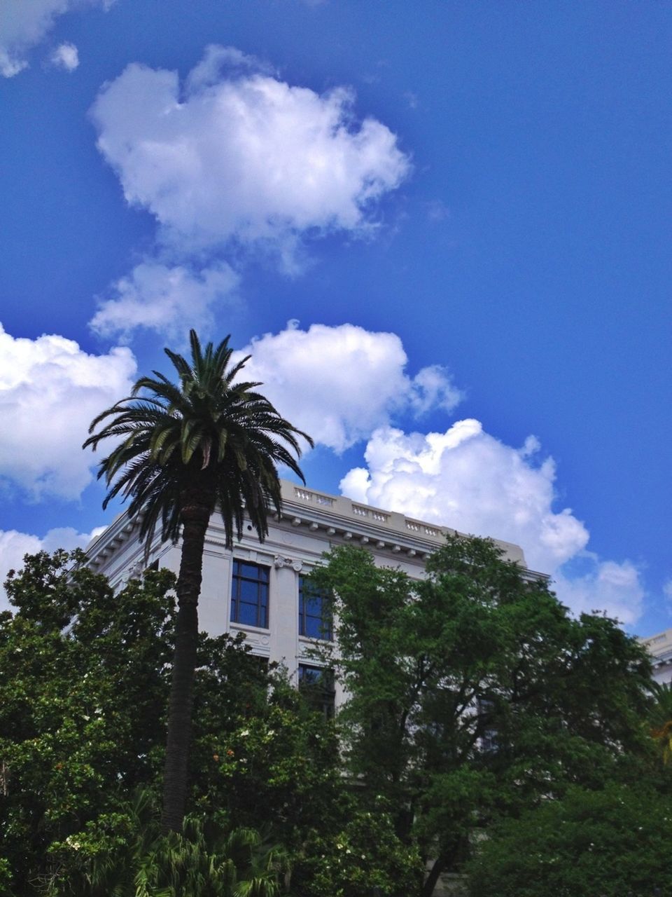 View of building exterior and trees against blue sky