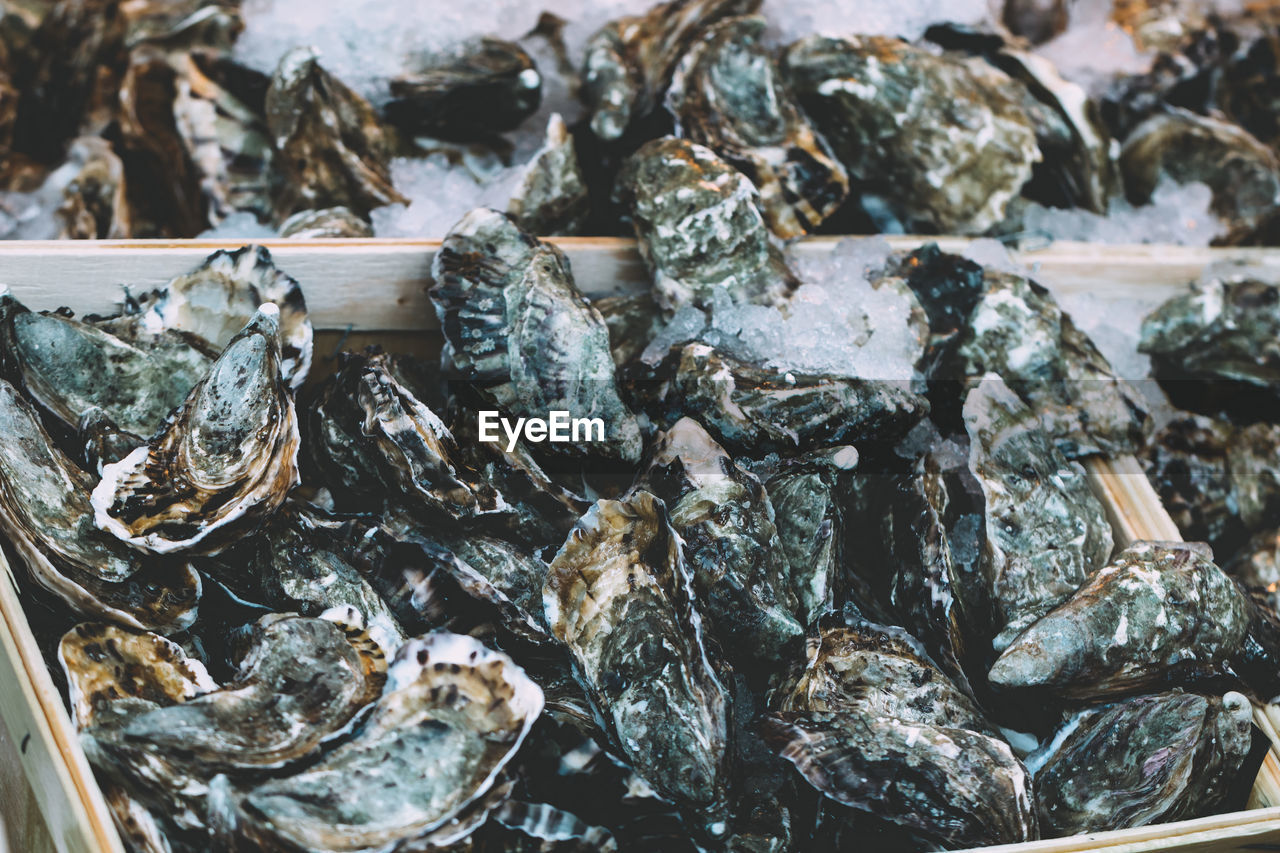 Close-up of oysters in crates for sale at fish market