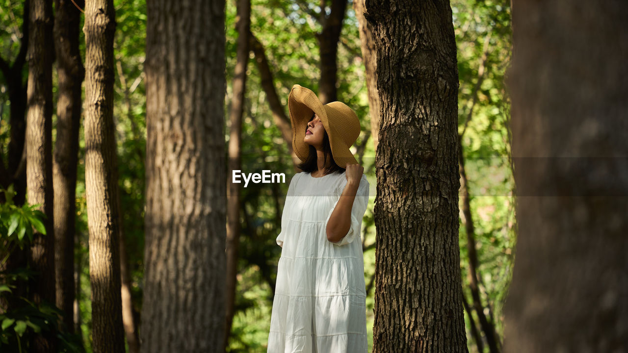 Side view of woman standing by tree trunk in forest