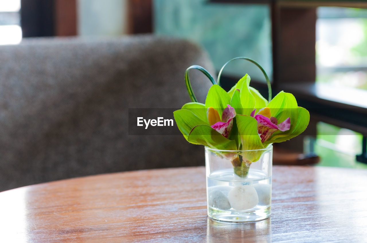 CLOSE-UP OF POTTED PLANT IN VASE ON TABLE
