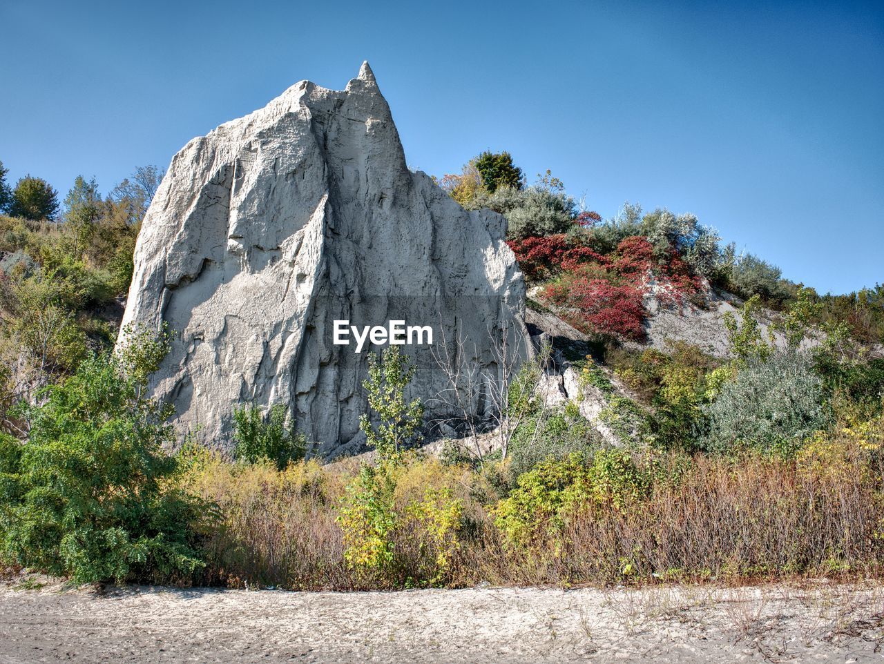 Plants growing on rock against sky