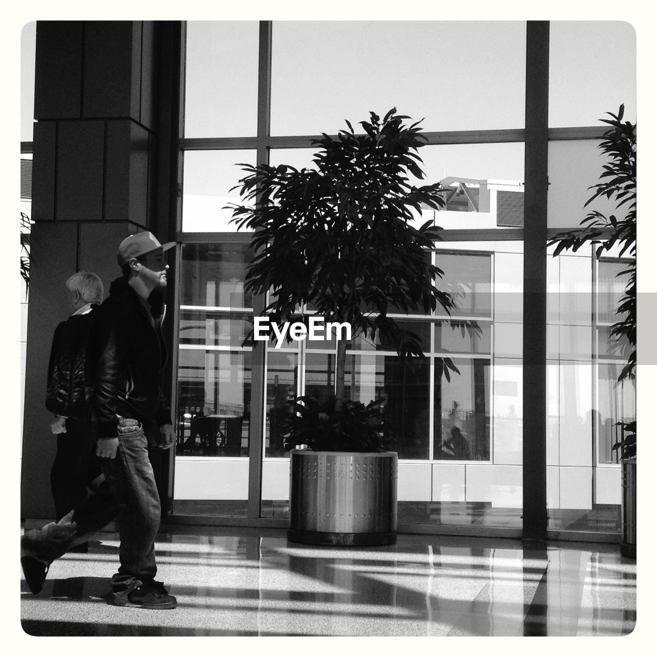 walking, real people, palm tree, full length, two people, men, lifestyles, architecture, tree, building exterior, day, outdoors, people