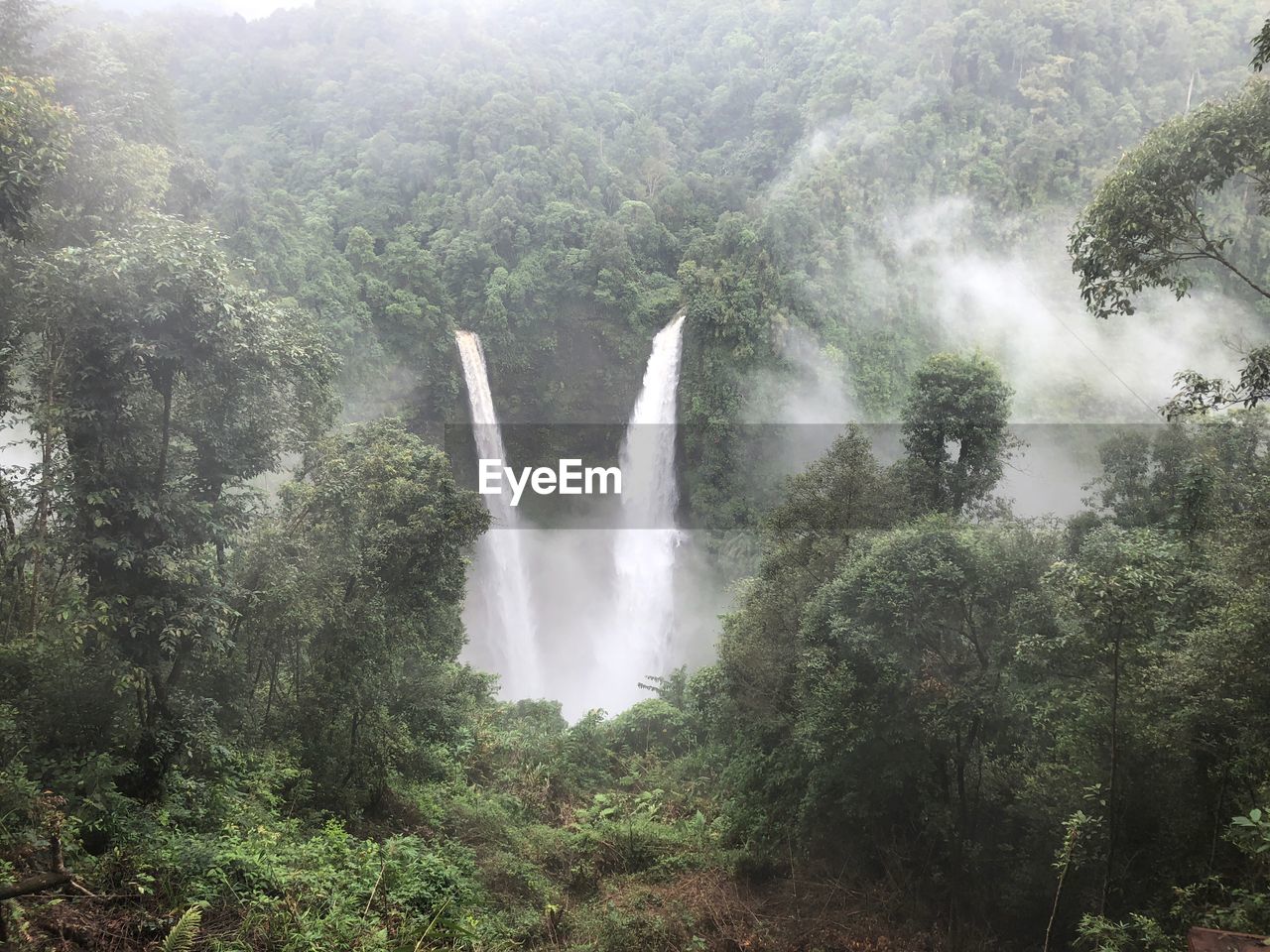 Scenic view of waterfall in forest