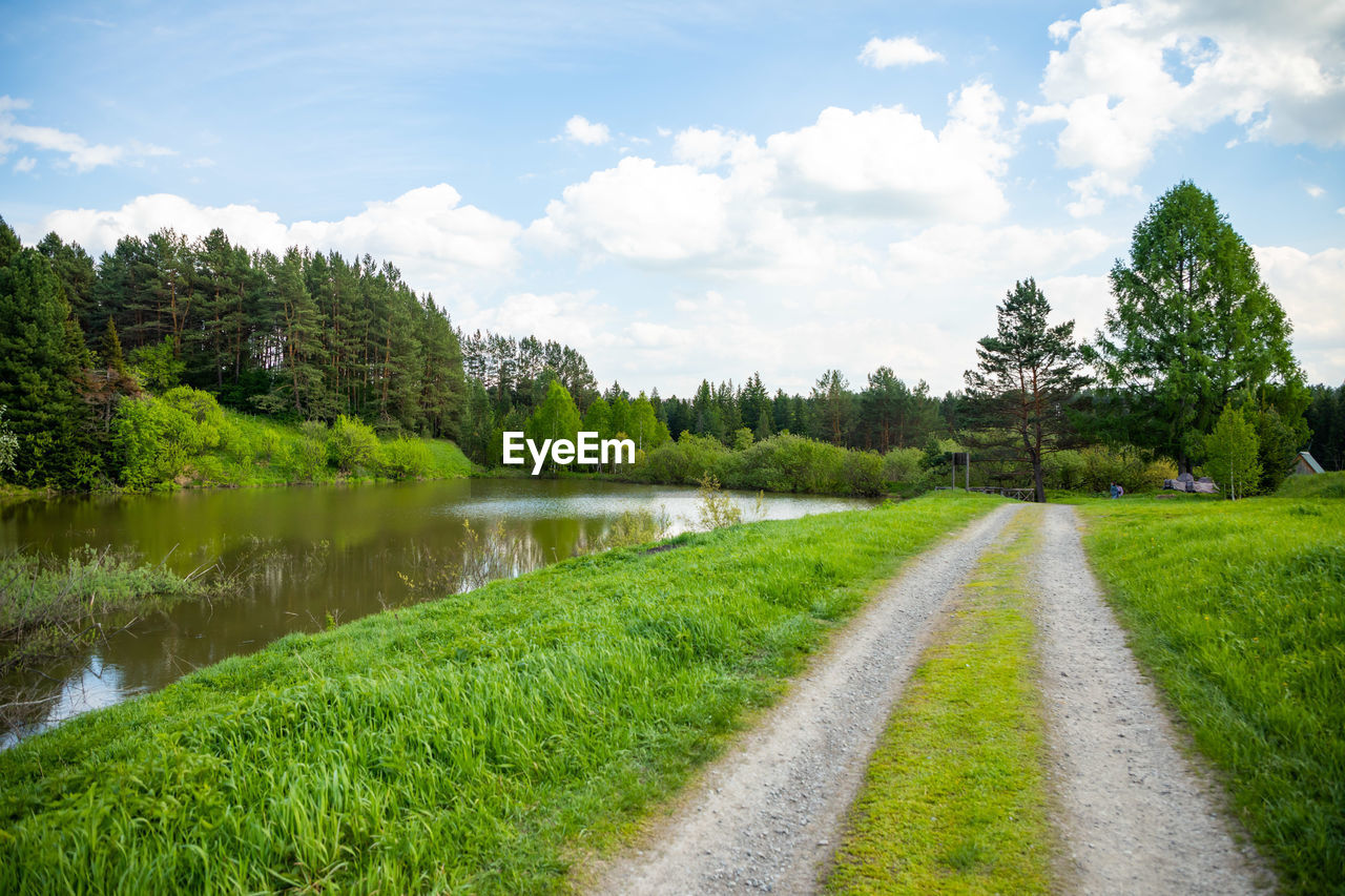 SCENIC VIEW OF GREEN TREES AGAINST SKY