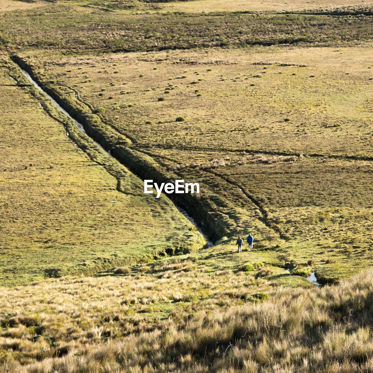 Scenic view of field