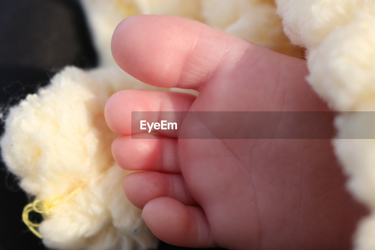 Close-up of baby foot