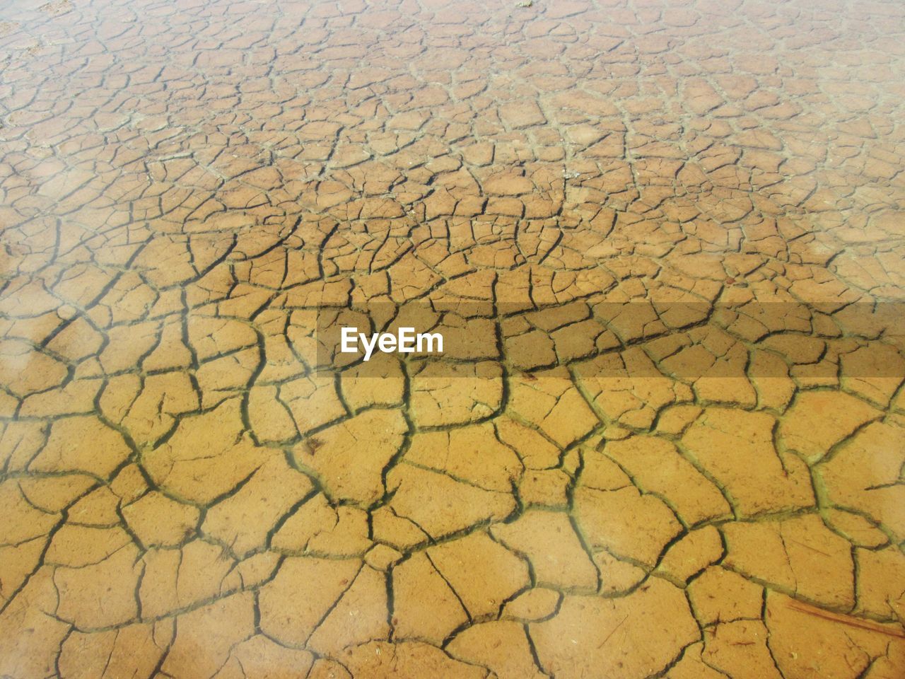 Full frame shot of cracked field