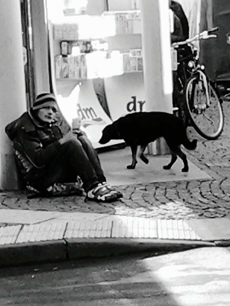 sitting, full length, animal themes, one animal, domestic animals, dog, pets, day, outdoors, side view, domestic cat, real people, mammal, one person, childhood, architecture, building exterior, people