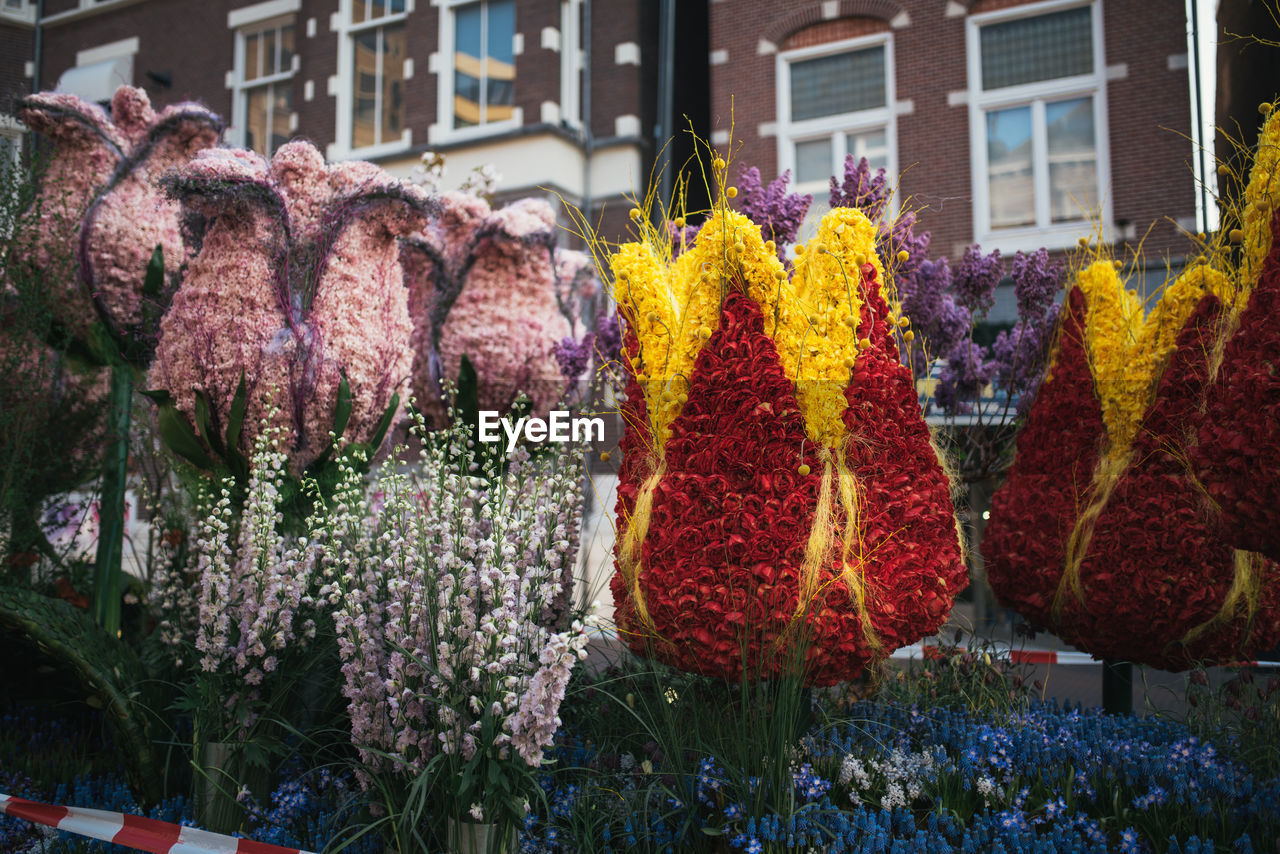 VARIOUS FLOWERS IN MARKET FOR SALE AT STREET