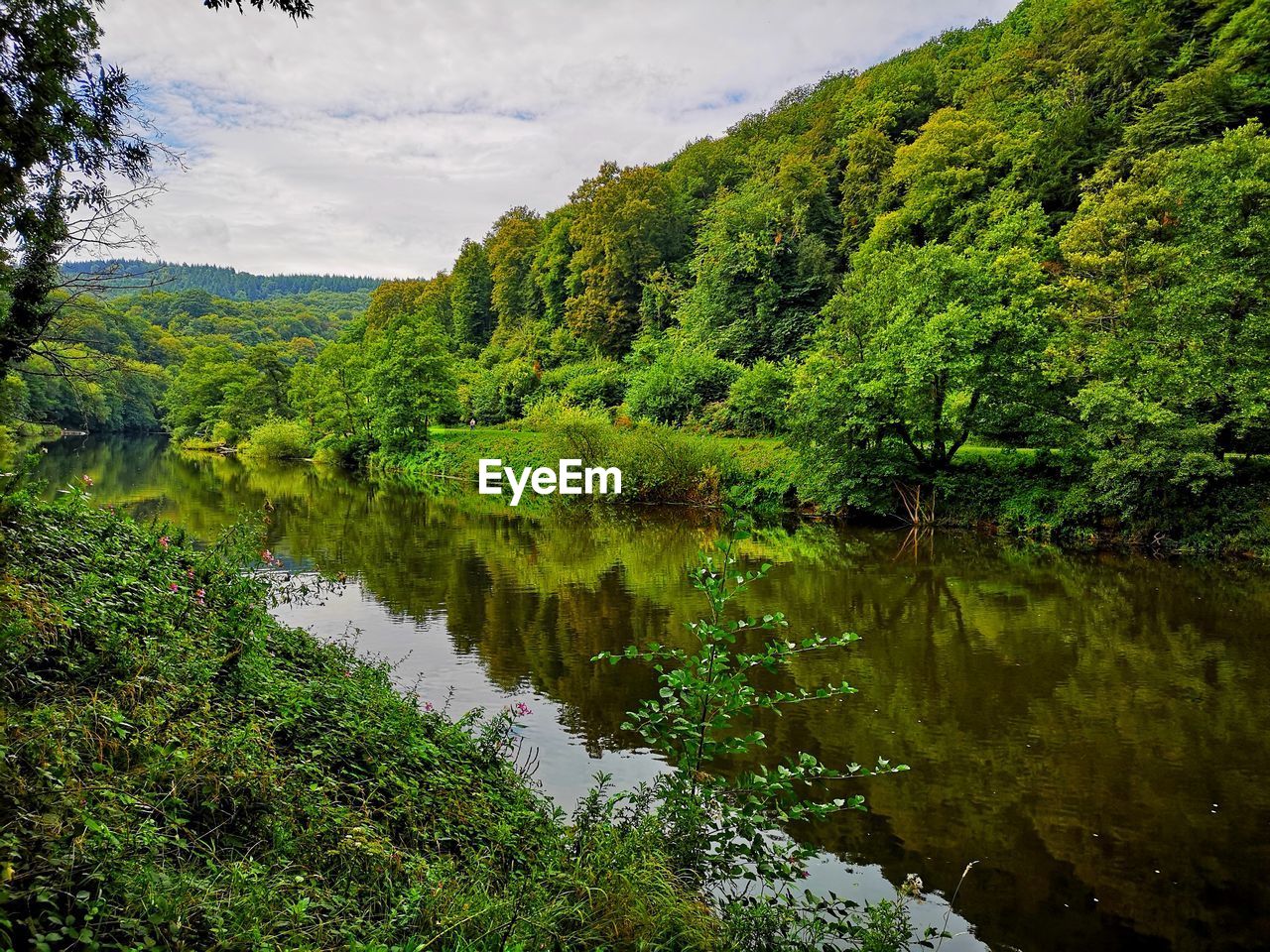 Scenic view of lake in forest against sky