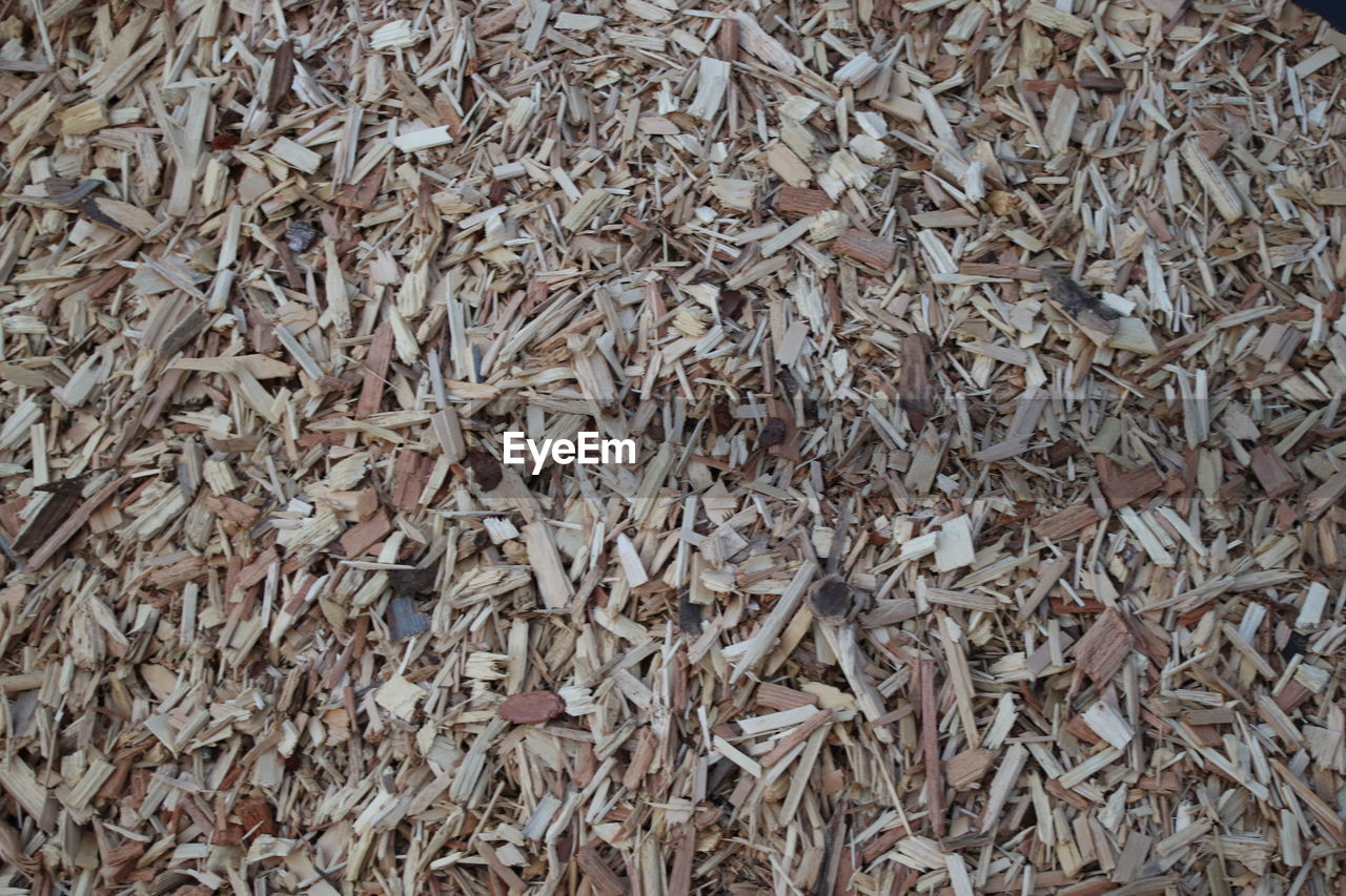 FULL FRAME SHOT OF DRY LEAVES