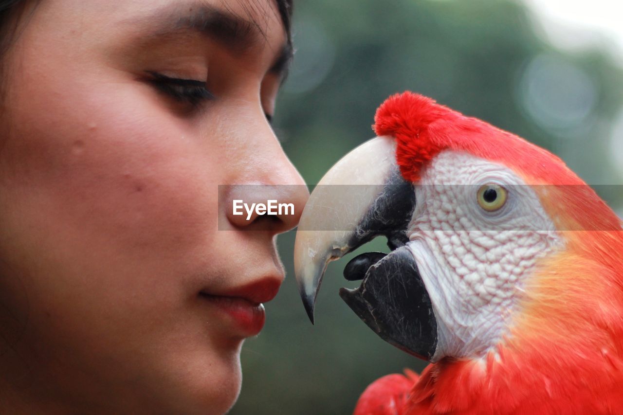 Close-up portrait of young woman and red macaw