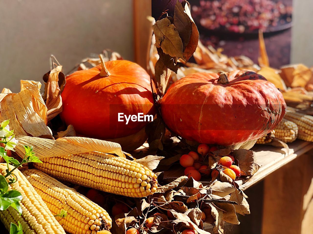 Close-up of pumpkins for sale at market stall