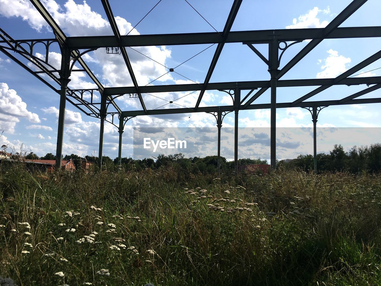 Plants on field against sky