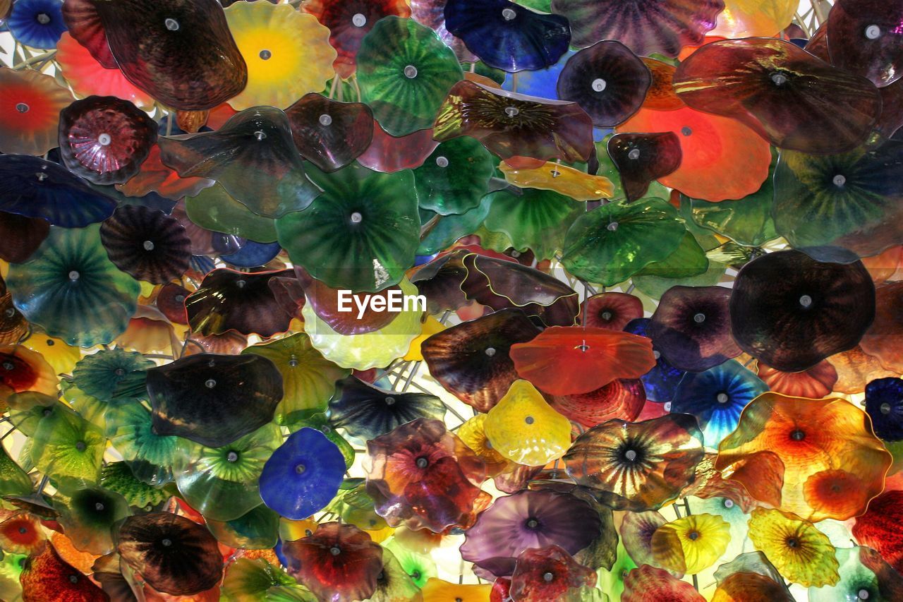 FULL FRAME SHOT OF MULTI COLORED FLOWERS ON LEAVES