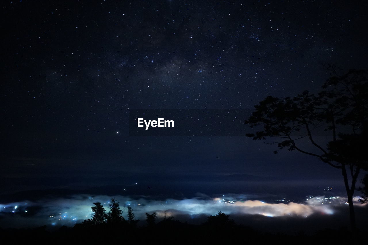 Low angle view of silhouette trees against sky at night