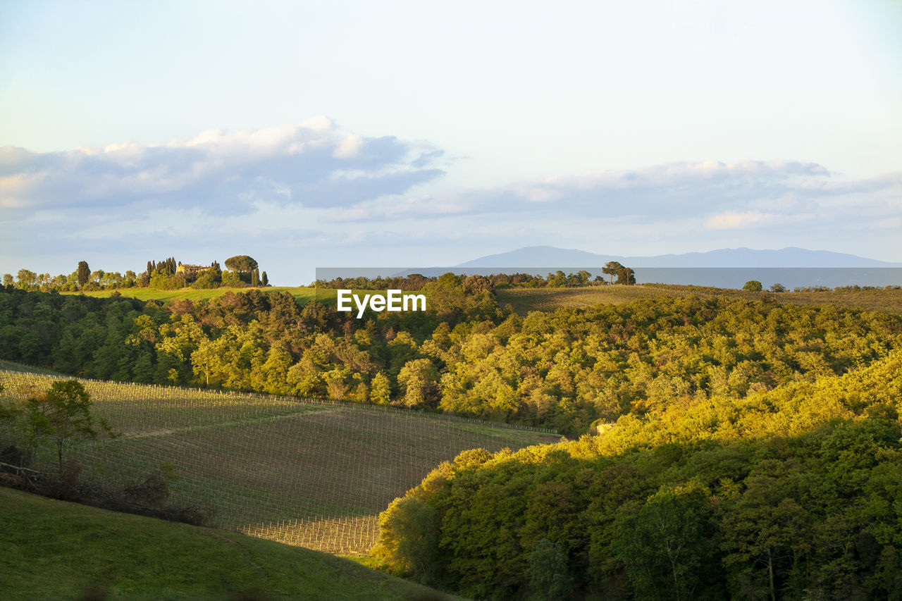 SCENIC VIEW OF LAND AGAINST SKY