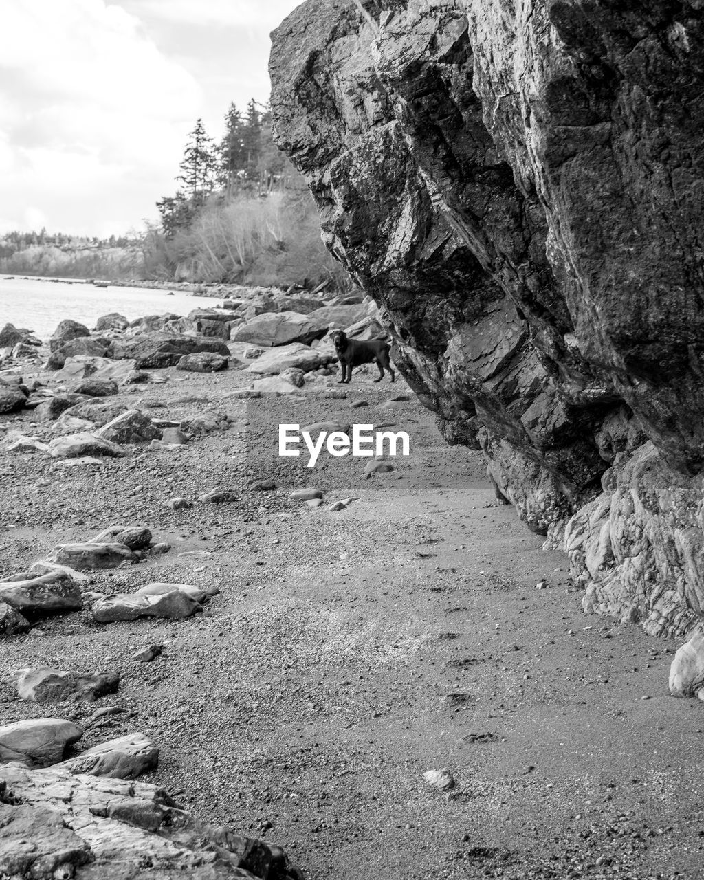 ROCK FORMATIONS ON FIELD