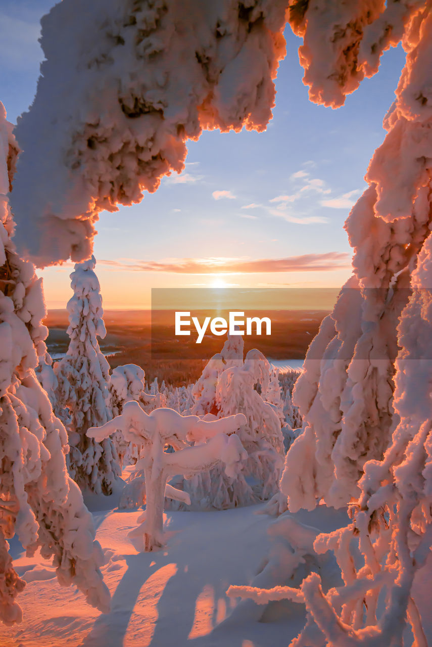 Scenic view of snow covered land during sunrise