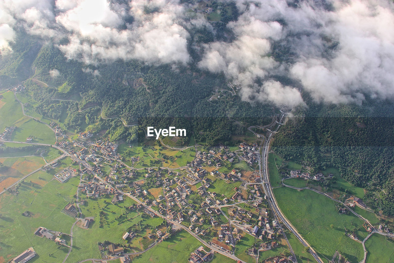 HIGH ANGLE VIEW OF TREES ON LAND