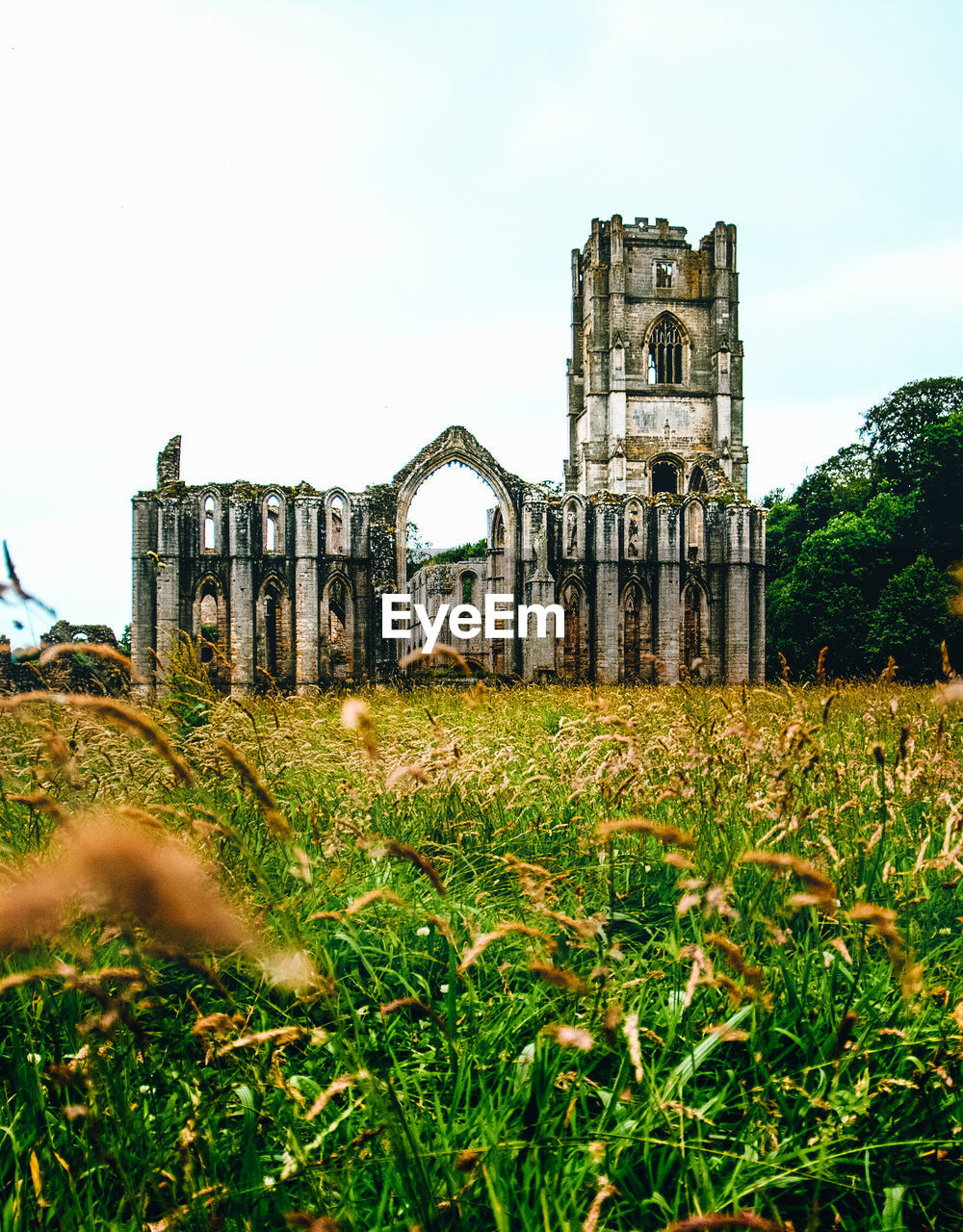 Old ruins on field against sky