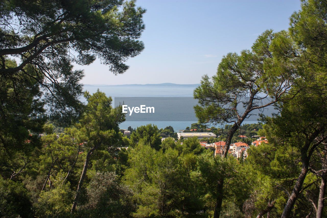 High angle view of trees by sea against sky