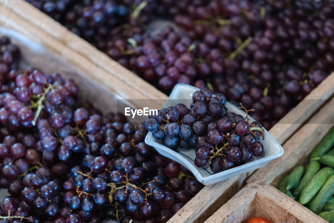 HIGH ANGLE VIEW OF GRAPES GROWING IN CONTAINER