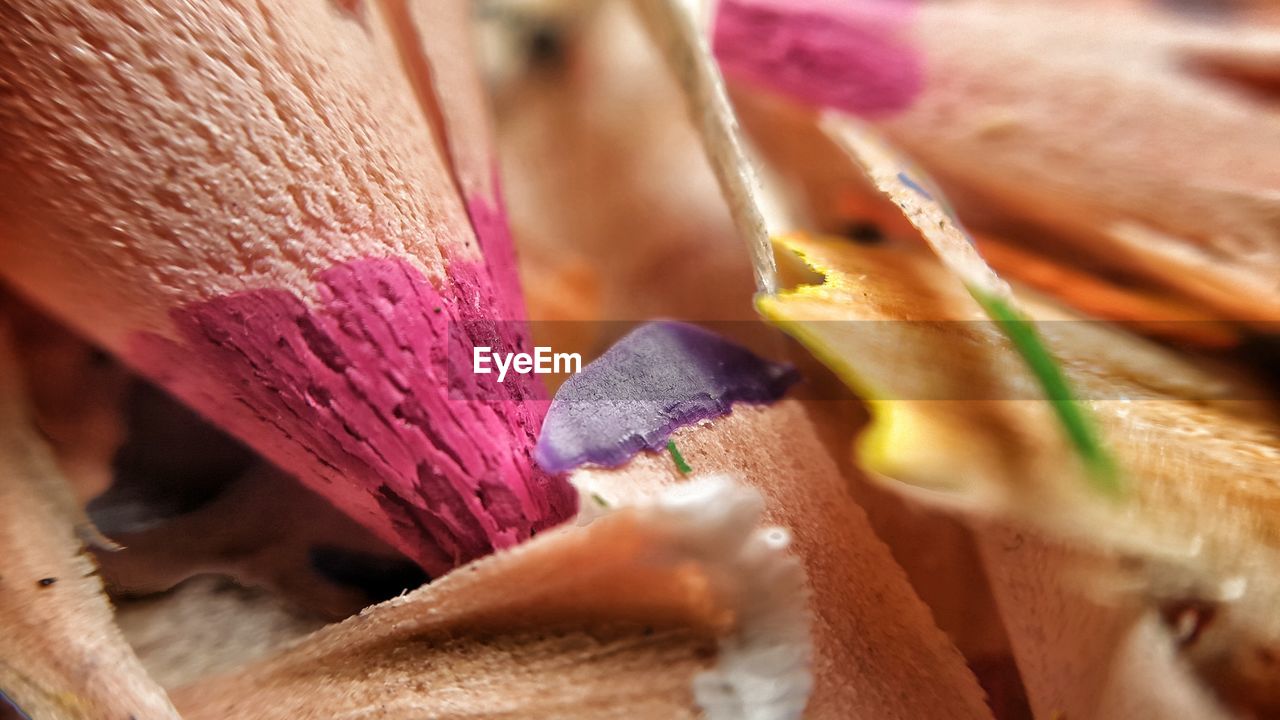 Close-up of colorful pencil shavings