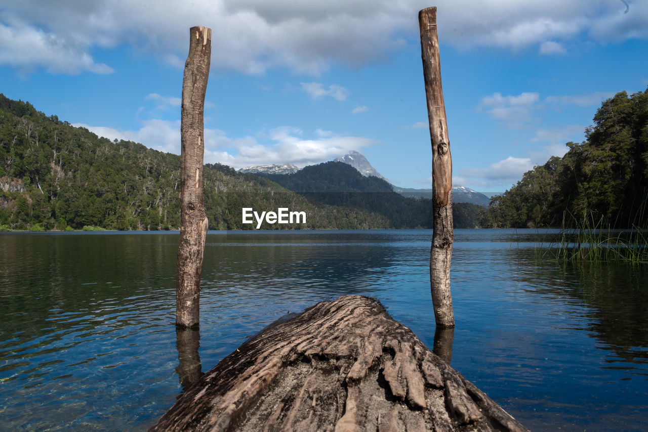 SCENIC VIEW OF LAKE BY TREE AGAINST SKY