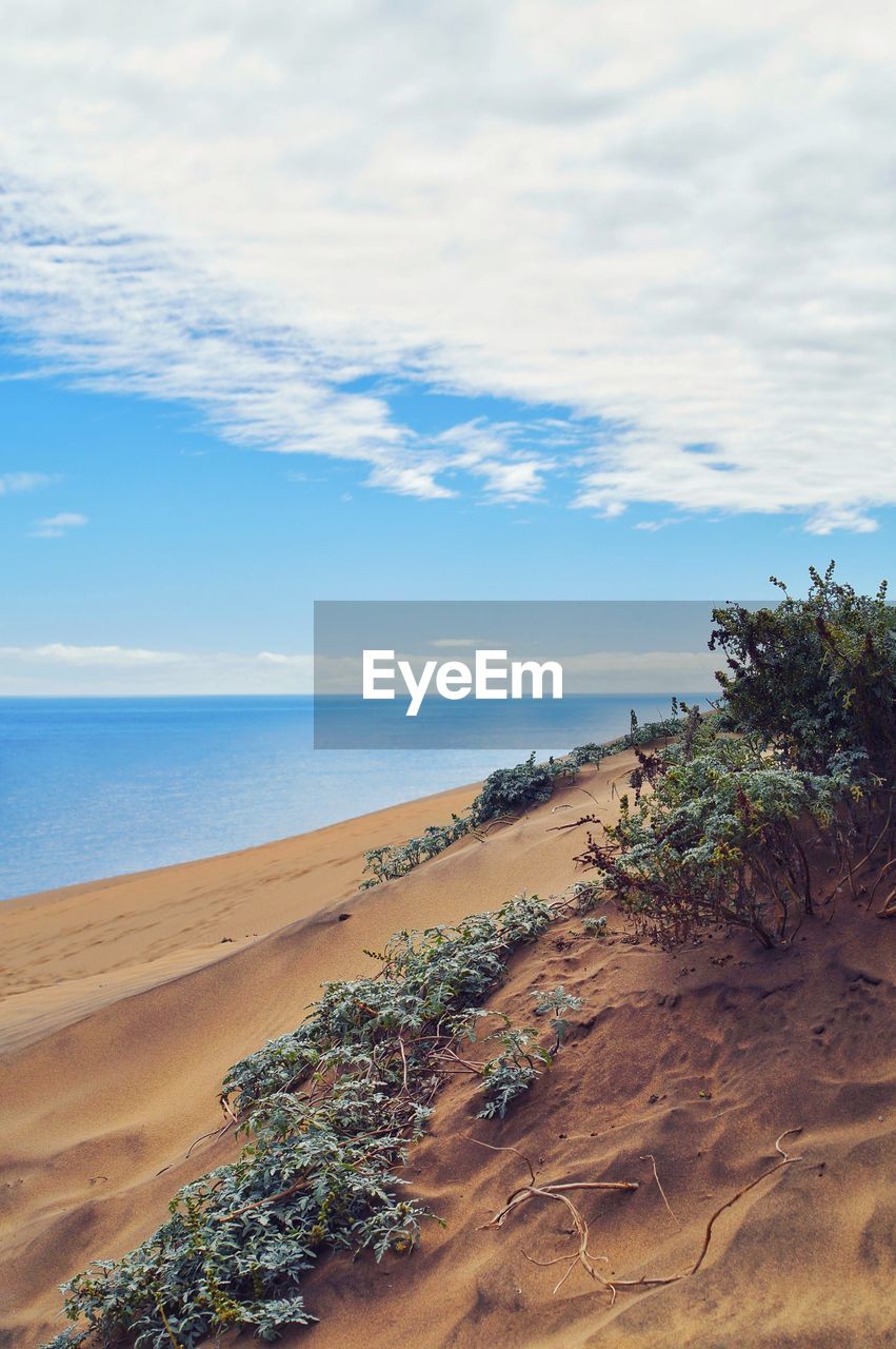 Scenic view of beach against sky