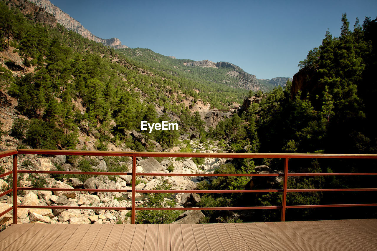 TREES AND PLANTS GROWING ON MOUNTAINS AGAINST SKY