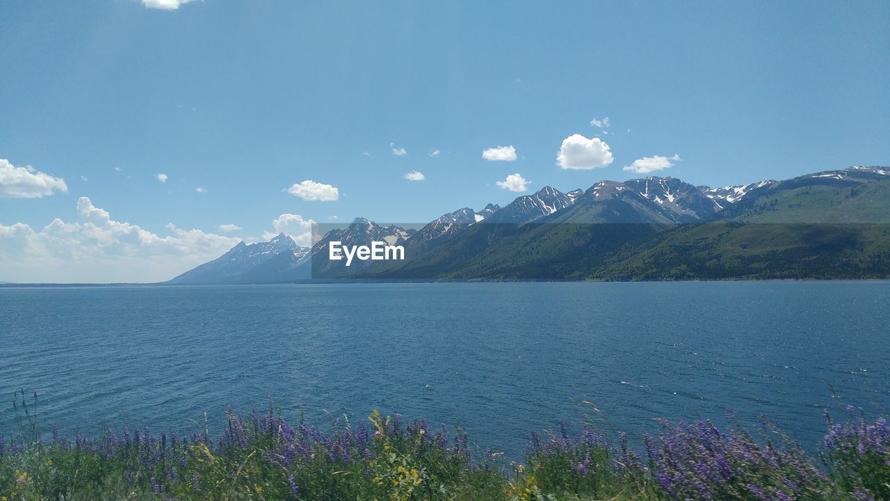 mountain, scenics - nature, sky, water, beauty in nature, landscape, environment, nature, tranquility, tranquil scene, mountain range, horizon, lake, plant, land, travel destinations, flowering plant, no people, flower, travel, blue, cloud, outdoors, tourism, snow, day, reservoir, body of water, idyllic, grass, moon, non-urban scene, snowcapped mountain, panoramic, beach, cold temperature, mountain peak, springtime