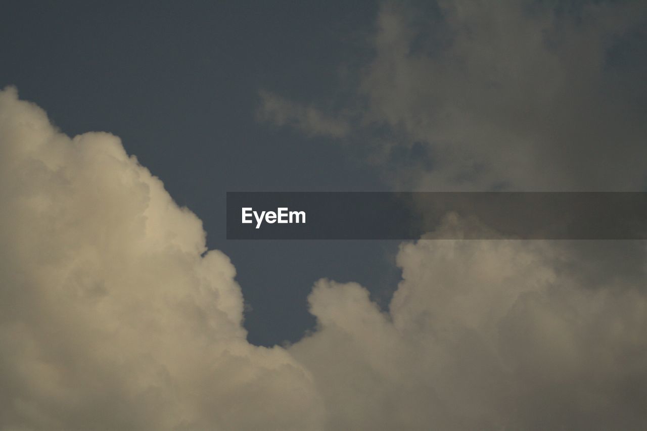 LOW ANGLE VIEW OF TREES AGAINST CLOUDY SKY