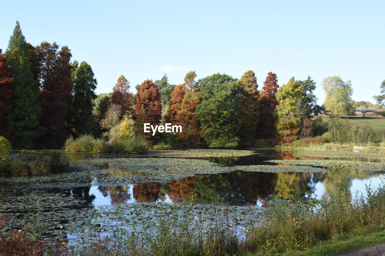 VIEW OF LAKE IN AUTUMN